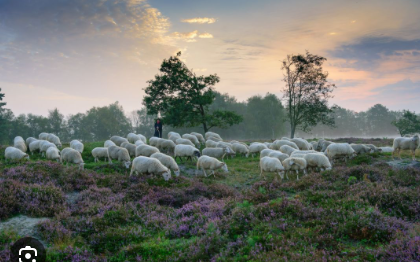 Münsterland Thien Friesoythe